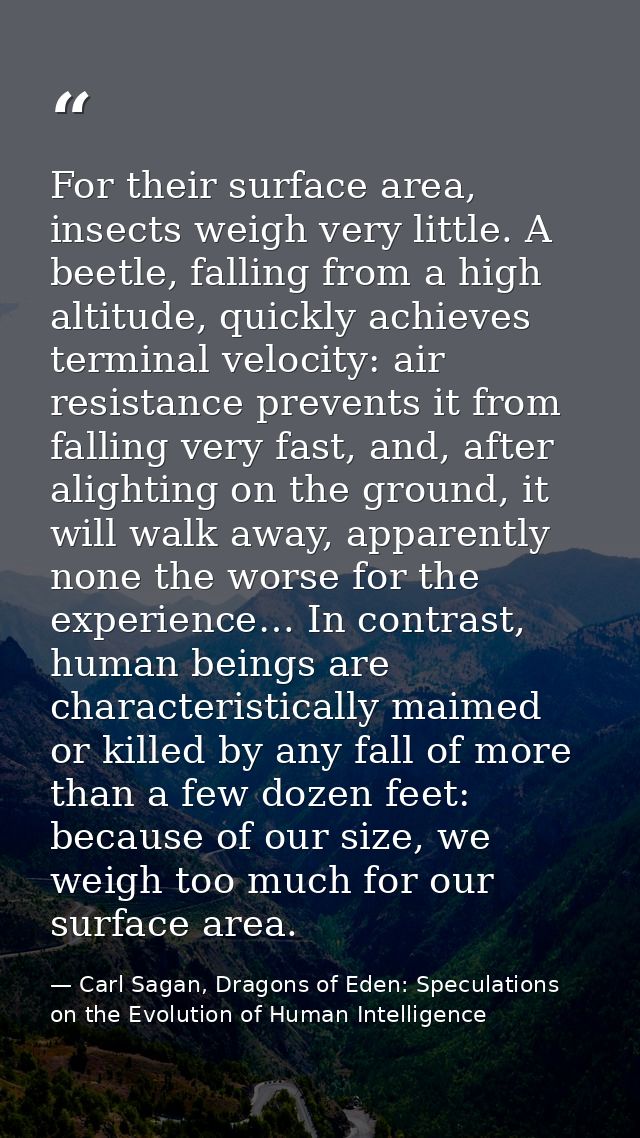 For their surface area, insects weigh very little. A beetle, falling from a high altitude, quickly achieves terminal vel — Carl Sagan, Dragons of Eden: Speculations on the Evolution of Human Intelligence