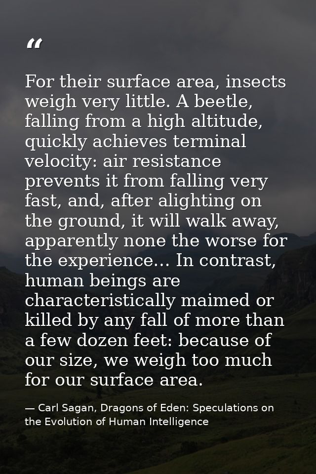 For their surface area, insects weigh very little. A beetle, falling from a high altitude, quickly achieves terminal vel — Carl Sagan, Dragons of Eden: Speculations on the Evolution of Human Intelligence