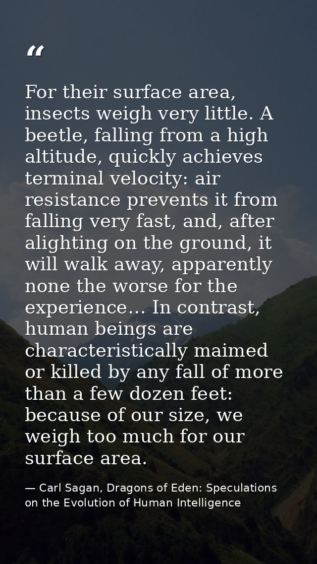 For their surface area, insects weigh very little. A beetle, falling from a high altitude, quickly achieves terminal vel — Carl Sagan, Dragons of Eden: Speculations on the Evolution of Human Intelligence