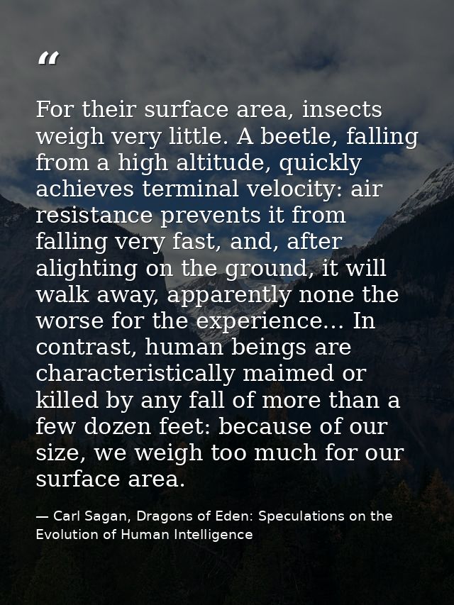 For their surface area, insects weigh very little. A beetle, falling from a high altitude, quickly achieves terminal vel — Carl Sagan, Dragons of Eden: Speculations on the Evolution of Human Intelligence