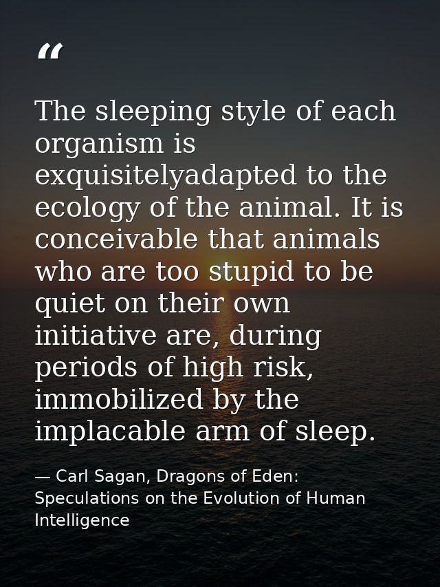 The sleeping style of each organism is exquisitelyadapted to the ecology of the animal. It is conceivable that animals w — Carl Sagan, Dragons of Eden: Speculations on the Evolution of Human Intelligence