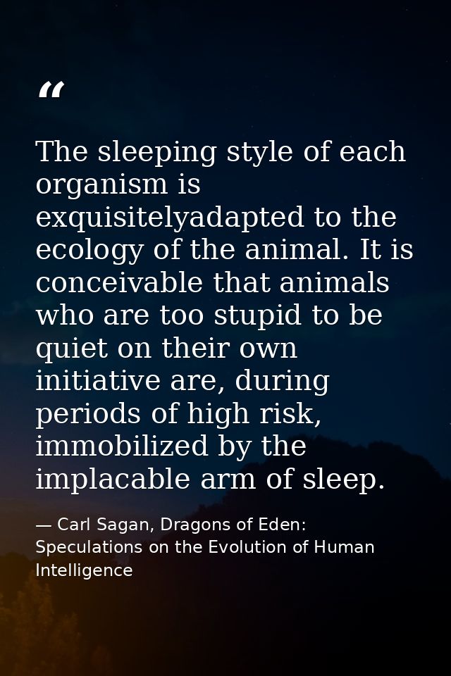 The sleeping style of each organism is exquisitelyadapted to the ecology of the animal. It is conceivable that animals w — Carl Sagan, Dragons of Eden: Speculations on the Evolution of Human Intelligence