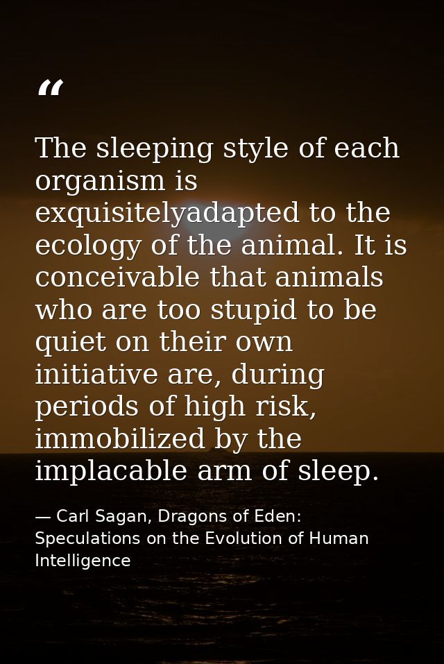 The sleeping style of each organism is exquisitelyadapted to the ecology of the animal. It is conceivable that animals w — Carl Sagan, Dragons of Eden: Speculations on the Evolution of Human Intelligence