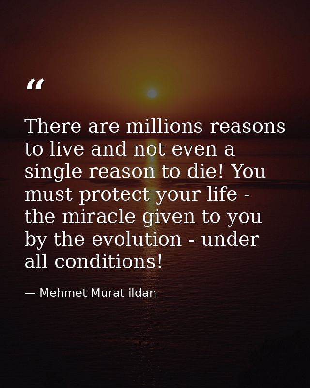 There are millions reasons to live and not even a single reason to die! You must protect your life - the miracle given t — Mehmet Murat ildan