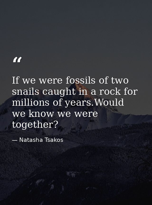 If we were fossils of two snails caught in a rock for millions of years.Would we know we were together? — Natasha Tsakos
