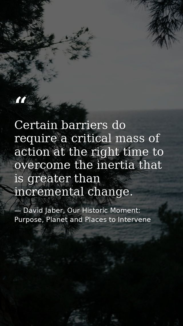 Certain barriers do require a critical mass of action at the right time to overcome the inertia that is greater than inc — David Jaber, Our Historic Moment: Purpose, Planet and Places to Intervene