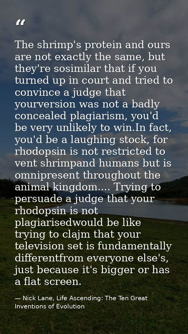 The shrimp's protein and ours are not exactly the same, but they're sosimilar that if you turned up in court and tried t — Nick Lane, Life Ascending: The Ten Great Inventions of Evolution