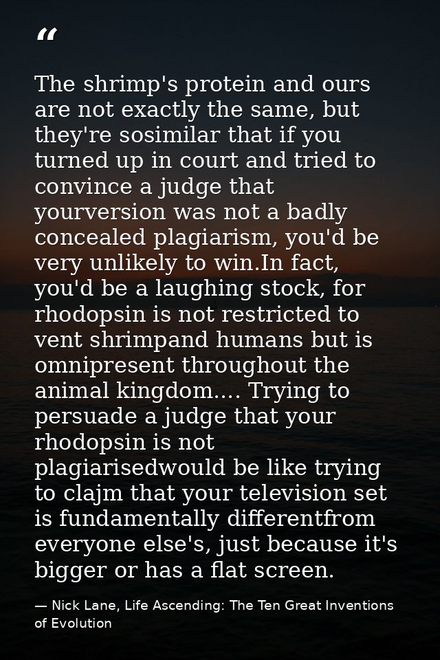 The shrimp's protein and ours are not exactly the same, but they're sosimilar that if you turned up in court and tried t — Nick Lane, Life Ascending: The Ten Great Inventions of Evolution