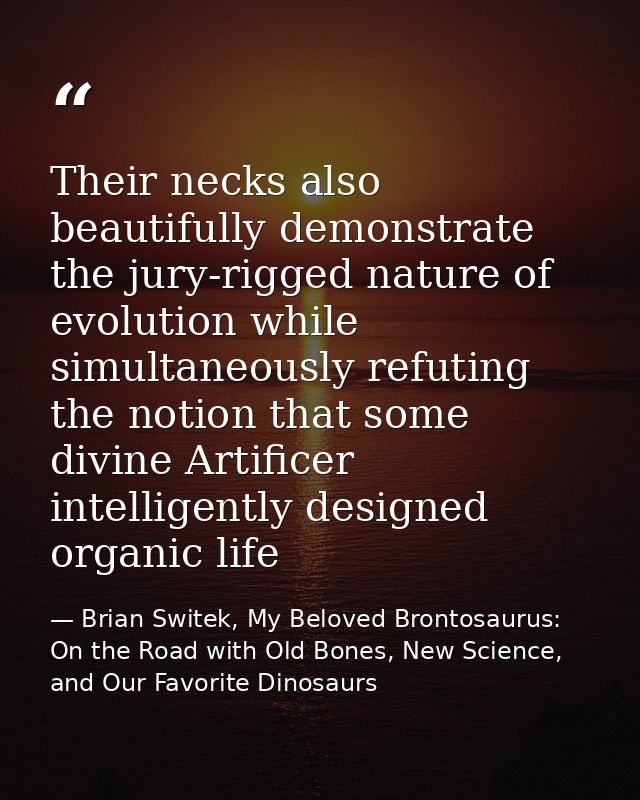 Their necks also beautifully demonstrate the jury-rigged nature of evolution while simultaneously refuting the notion th — Brian Switek, My Beloved Brontosaurus: On the Road with Old Bones, New Science, and Our Favorite Dinosaurs