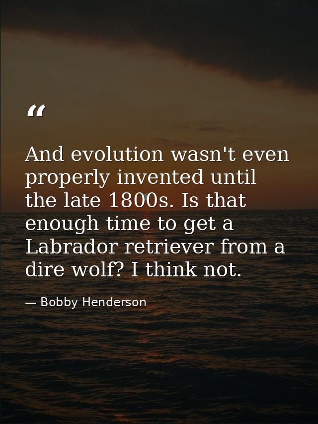 And evolution wasn't even properly invented until the late 1800s. Is that enough time to get a Labrador retriever from a — Bobby Henderson