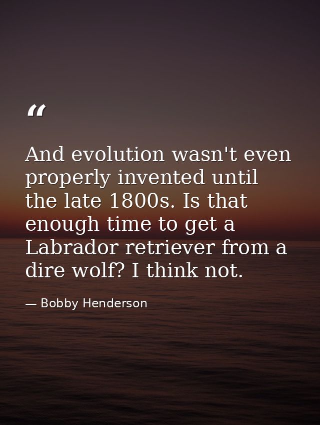 And evolution wasn't even properly invented until the late 1800s. Is that enough time to get a Labrador retriever from a — Bobby Henderson
