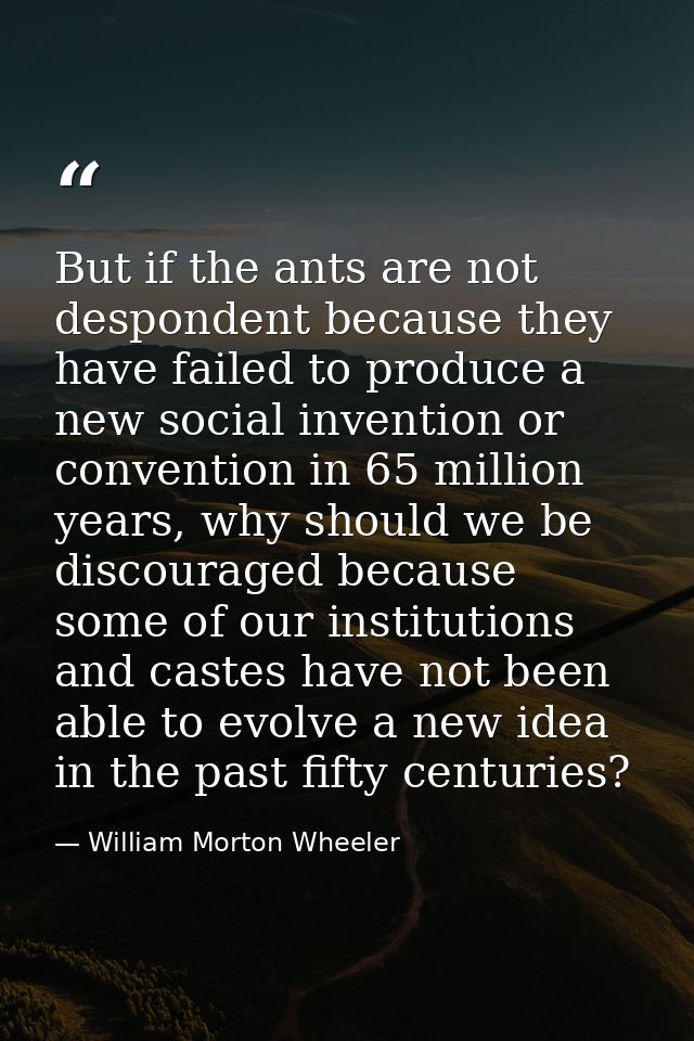 But if the ants are not despondent because they have failed to produce a new social invention or convention in 65 millio — William Morton Wheeler