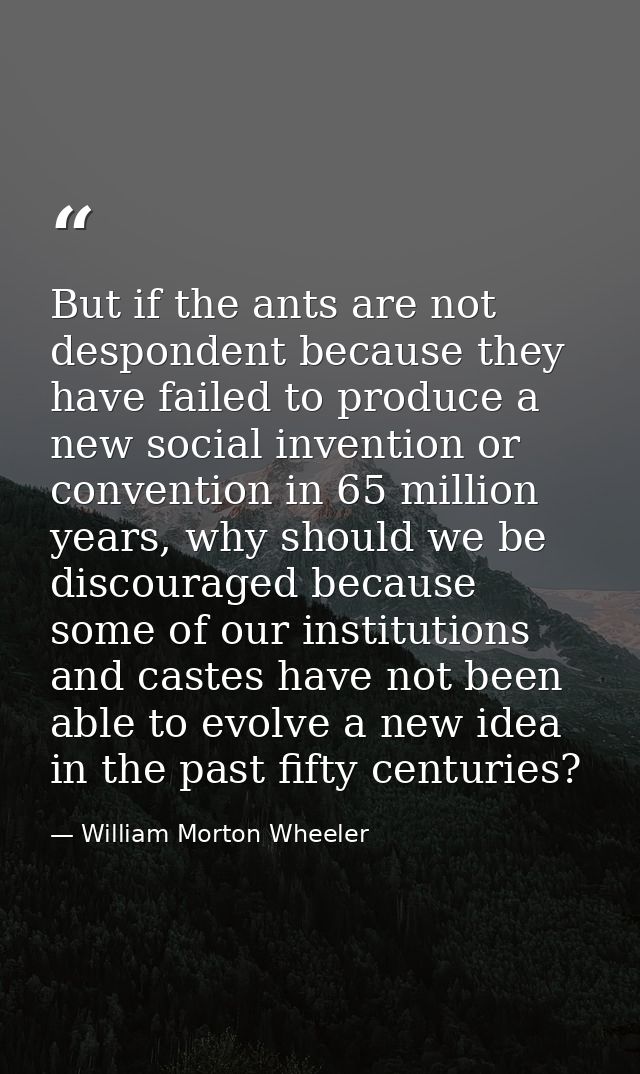 But if the ants are not despondent because they have failed to produce a new social invention or convention in 65 millio — William Morton Wheeler
