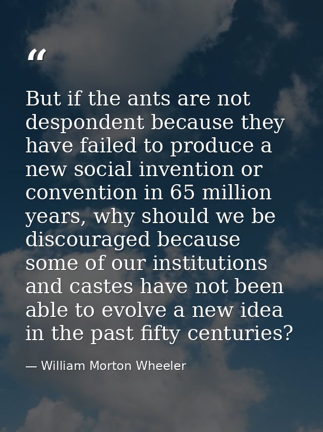 But if the ants are not despondent because they have failed to produce a new social invention or convention in 65 millio — William Morton Wheeler