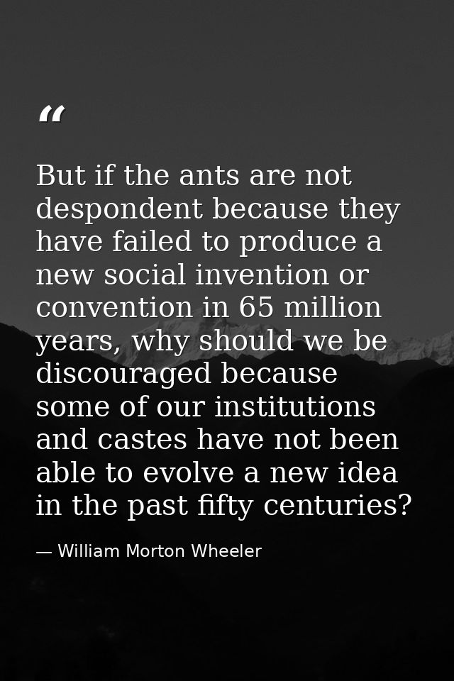 But if the ants are not despondent because they have failed to produce a new social invention or convention in 65 millio — William Morton Wheeler
