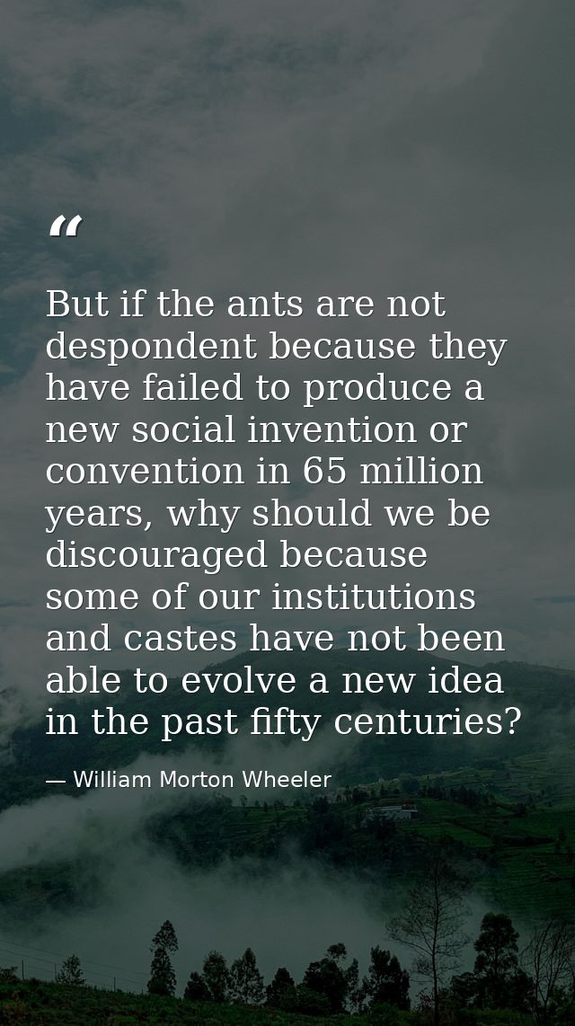 But if the ants are not despondent because they have failed to produce a new social invention or convention in 65 millio — William Morton Wheeler