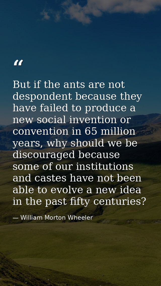 But if the ants are not despondent because they have failed to produce a new social invention or convention in 65 millio — William Morton Wheeler