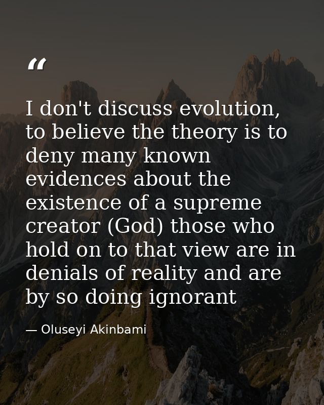 I don't discuss evolution, to believe the theory is to deny many known evidences about the existence of a supreme creato — Oluseyi Akinbami