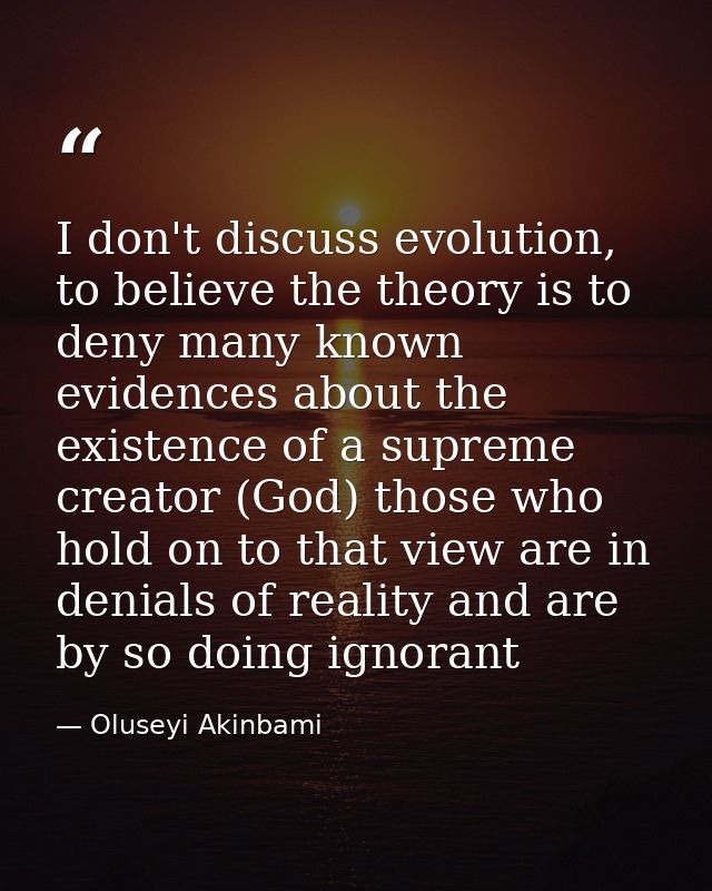 I don't discuss evolution, to believe the theory is to deny many known evidences about the existence of a supreme creato — Oluseyi Akinbami