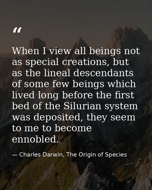When I view all beings not as special creations, but as the lineal descendants of some few beings which lived long befor — Charles Darwin, The Origin of Species