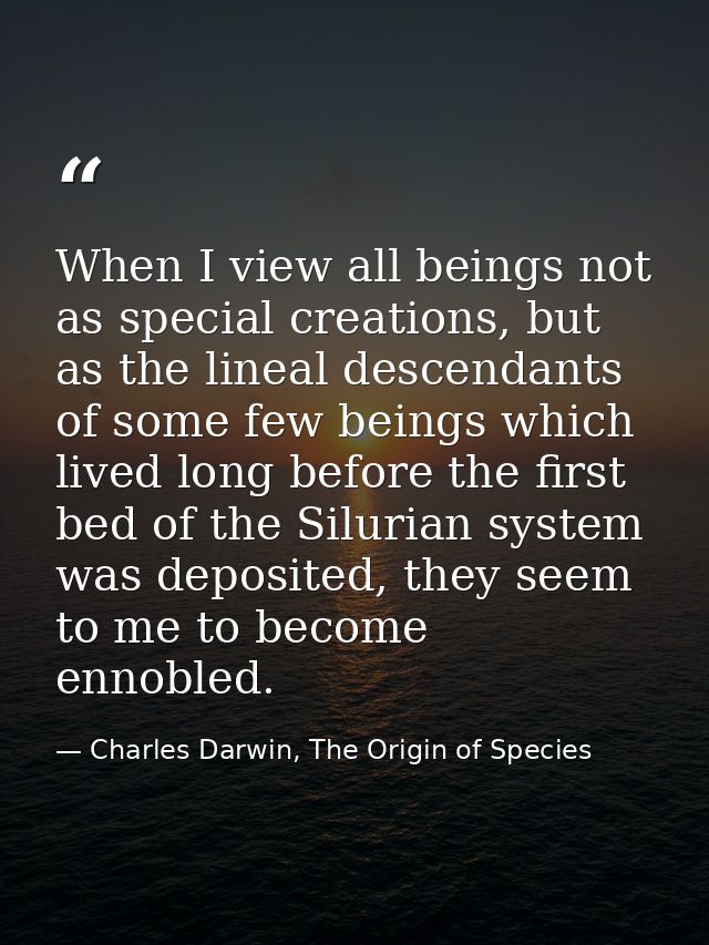 When I view all beings not as special creations, but as the lineal descendants of some few beings which lived long befor — Charles Darwin, The Origin of Species