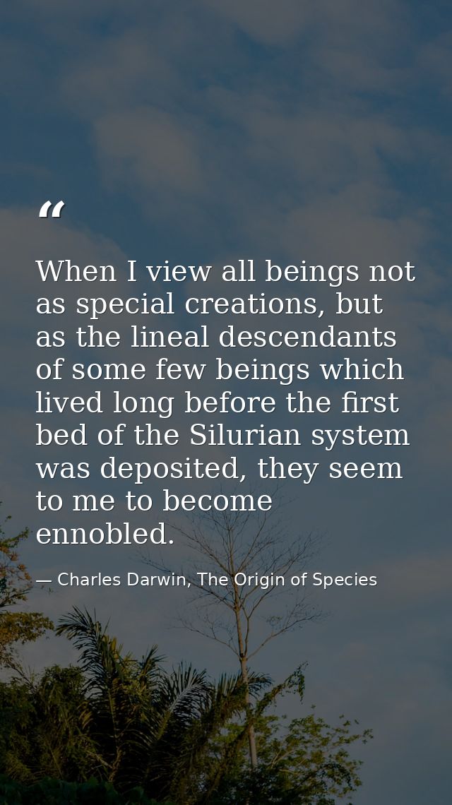 When I view all beings not as special creations, but as the lineal descendants of some few beings which lived long befor — Charles Darwin, The Origin of Species