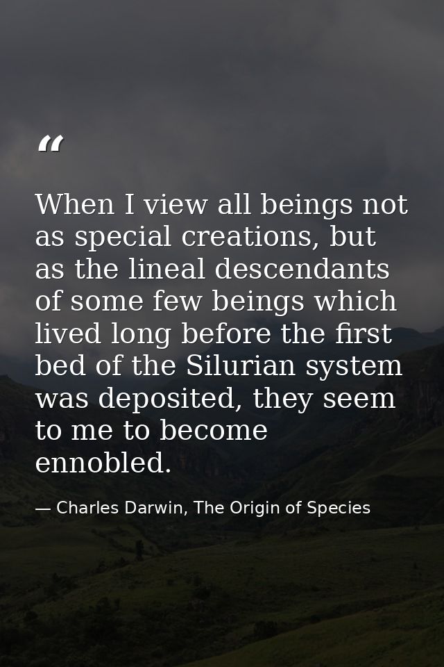 When I view all beings not as special creations, but as the lineal descendants of some few beings which lived long befor — Charles Darwin, The Origin of Species