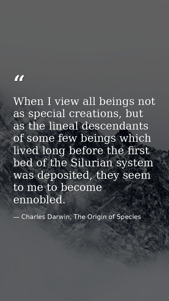 When I view all beings not as special creations, but as the lineal descendants of some few beings which lived long befor — Charles Darwin, The Origin of Species