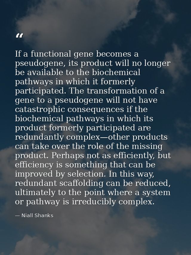 If a functional gene becomes a pseudogene, its product will no longer be available to the biochemical pathways in which  — Niall Shanks