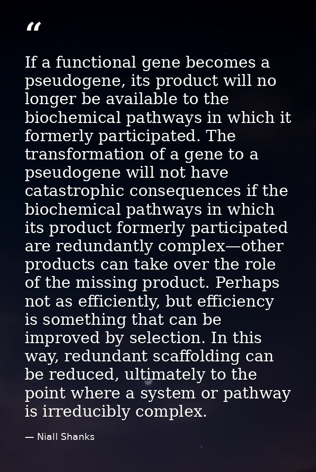 If a functional gene becomes a pseudogene, its product will no longer be available to the biochemical pathways in which  — Niall Shanks