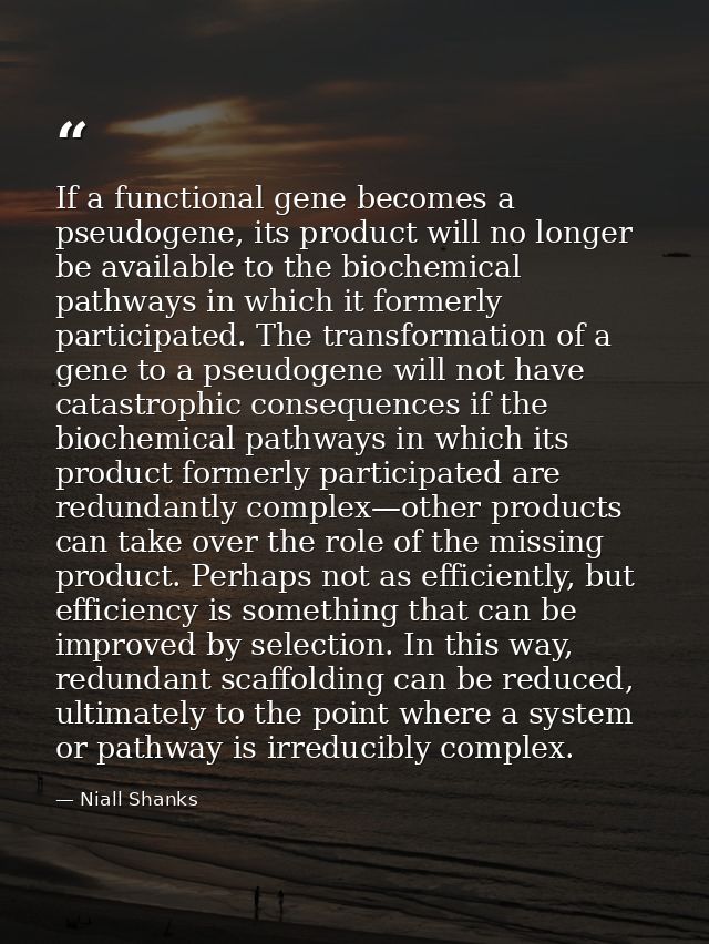 If a functional gene becomes a pseudogene, its product will no longer be available to the biochemical pathways in which  — Niall Shanks