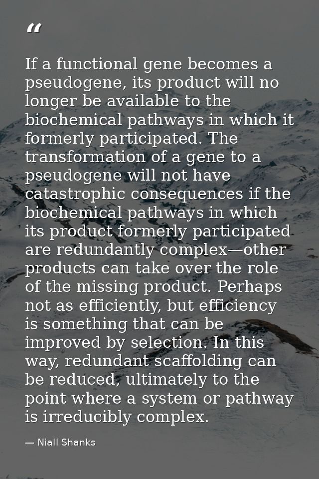 If a functional gene becomes a pseudogene, its product will no longer be available to the biochemical pathways in which  — Niall Shanks