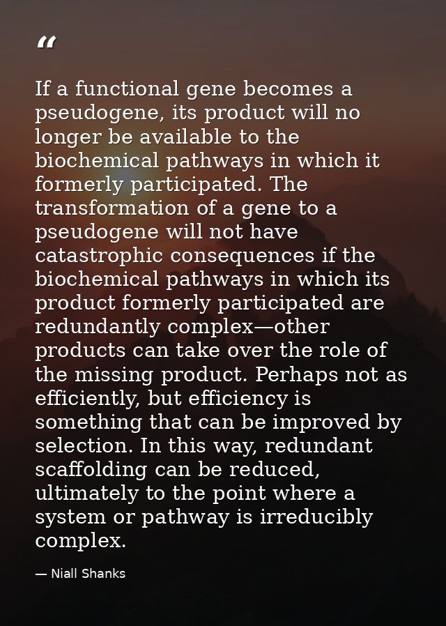 If a functional gene becomes a pseudogene, its product will no longer be available to the biochemical pathways in which  — Niall Shanks
