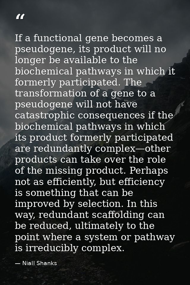 If a functional gene becomes a pseudogene, its product will no longer be available to the biochemical pathways in which  — Niall Shanks