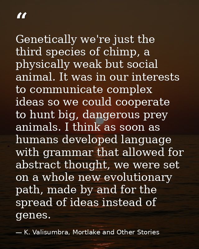 Genetically we're just the third species of chimp, a physically weak but social animal. It was in our interests to commu — K. Valisumbra, Mortlake and Other Stories