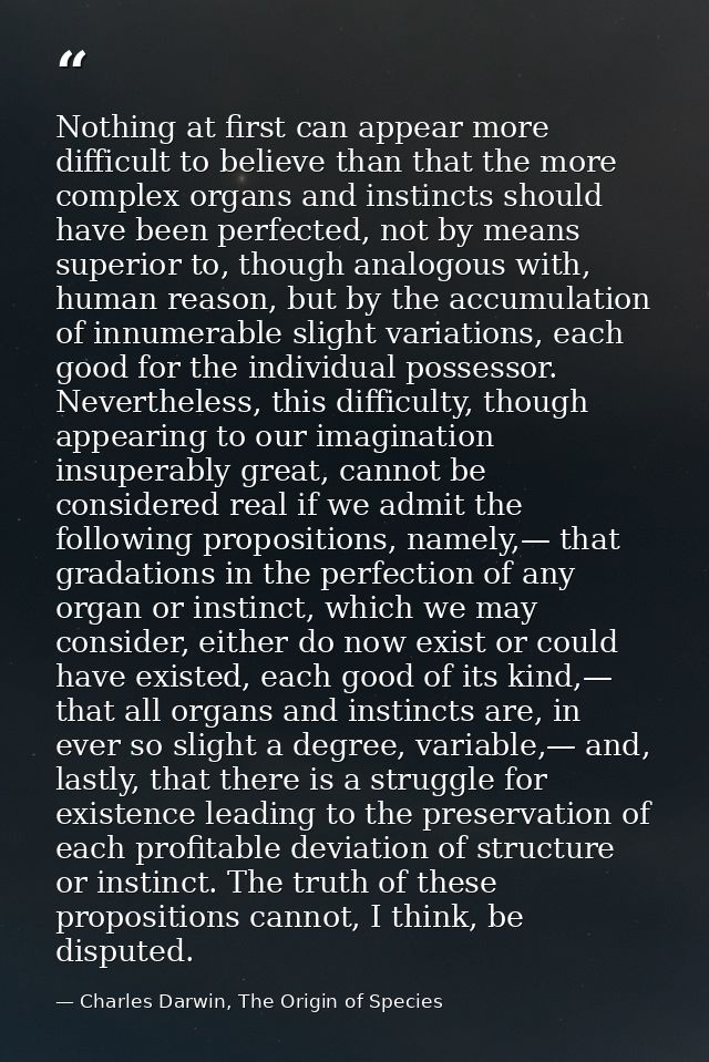 Nothing at first can appear more difficult to believe than that the more complex organs and instincts should have been p — Charles Darwin, The Origin of Species