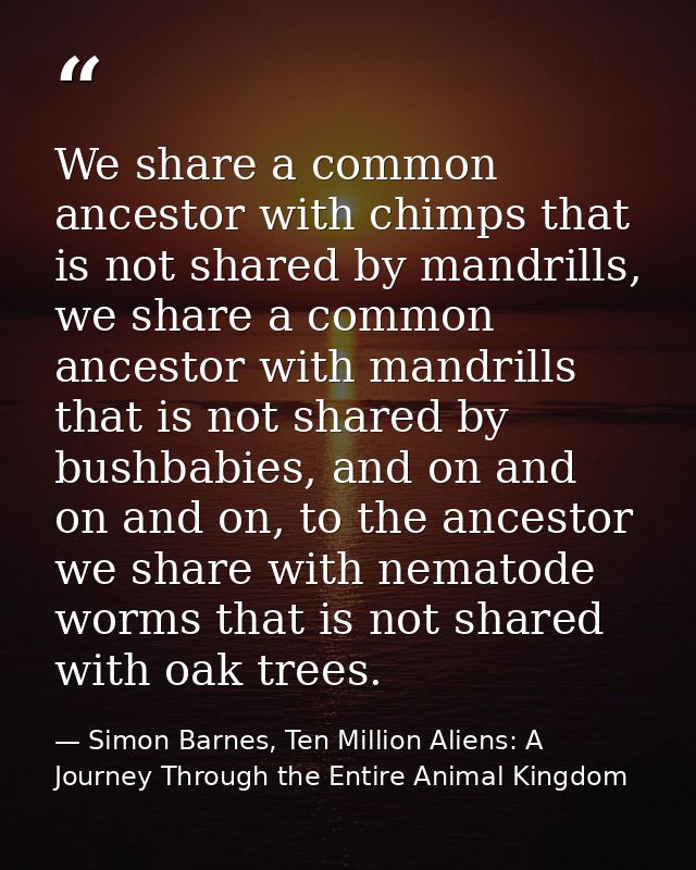 We share a common ancestor with chimps that is not shared by mandrills, we share a common ancestor with mandrills that i — Simon Barnes, Ten Million Aliens: A Journey Through the Entire Animal Kingdom