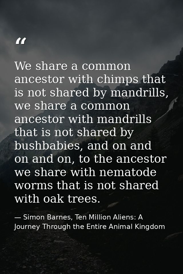 We share a common ancestor with chimps that is not shared by mandrills, we share a common ancestor with mandrills that i — Simon Barnes, Ten Million Aliens: A Journey Through the Entire Animal Kingdom