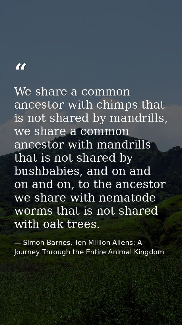 We share a common ancestor with chimps that is not shared by mandrills, we share a common ancestor with mandrills that i — Simon Barnes, Ten Million Aliens: A Journey Through the Entire Animal Kingdom