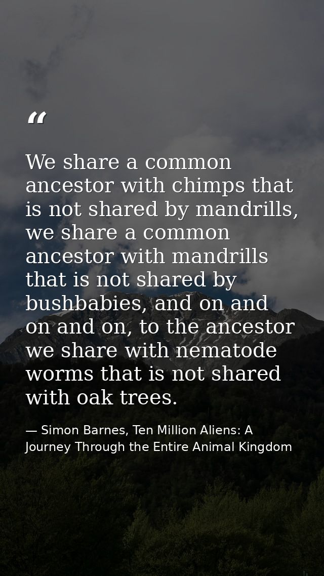 We share a common ancestor with chimps that is not shared by mandrills, we share a common ancestor with mandrills that i — Simon Barnes, Ten Million Aliens: A Journey Through the Entire Animal Kingdom
