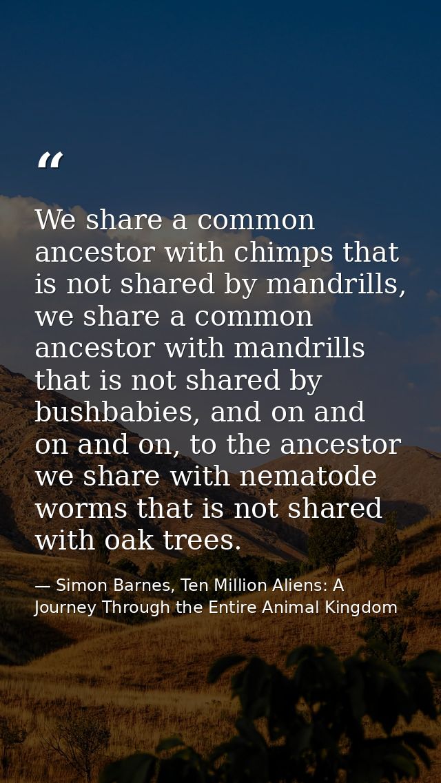 We share a common ancestor with chimps that is not shared by mandrills, we share a common ancestor with mandrills that i — Simon Barnes, Ten Million Aliens: A Journey Through the Entire Animal Kingdom