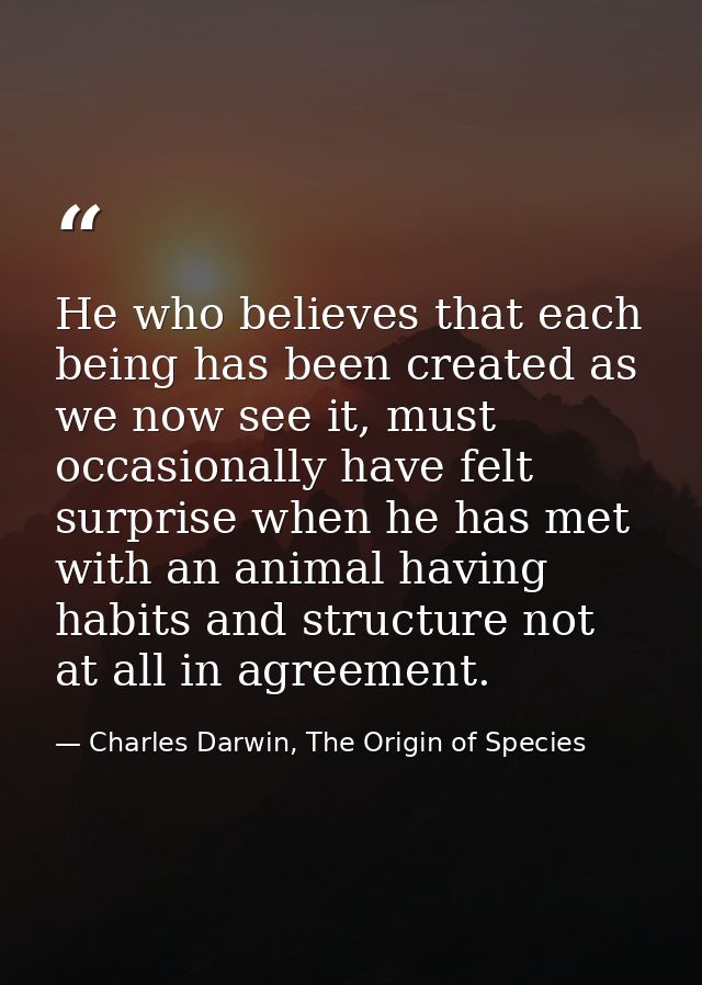 He who believes that each being has been created as we now see it, must occasionally have felt surprise when he has met  — Charles Darwin, The Origin of Species