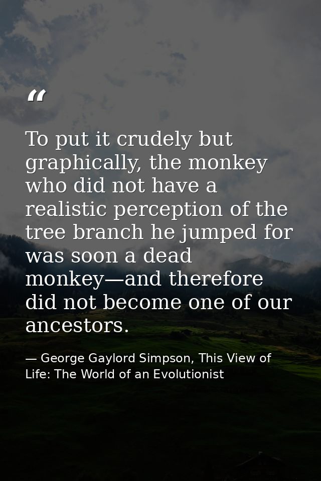 To put it crudely but graphically, the monkey who did not have a realistic perception of the tree branch he jumped for w — George Gaylord Simpson, This View of Life: The World of an Evolutionist