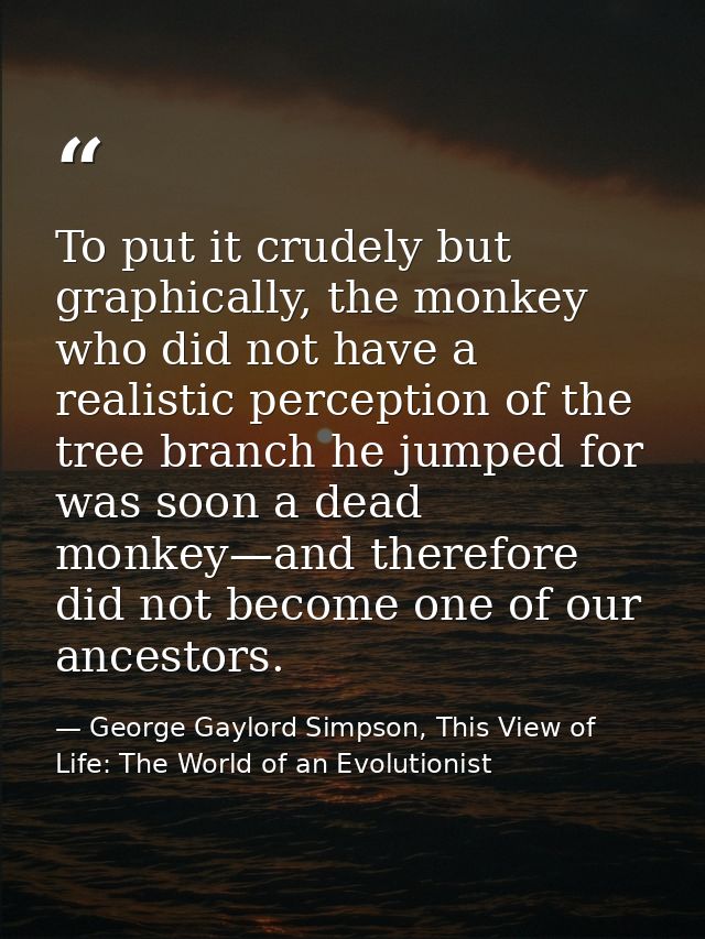 To put it crudely but graphically, the monkey who did not have a realistic perception of the tree branch he jumped for w — George Gaylord Simpson, This View of Life: The World of an Evolutionist