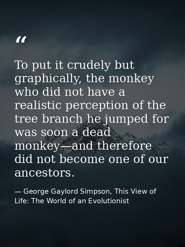 To put it crudely but graphically, the monkey who did not have a realistic perception of the tree branch he jumped for w — George Gaylord Simpson, This View of Life: The World of an Evolutionist