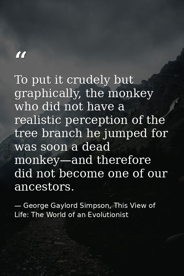 To put it crudely but graphically, the monkey who did not have a realistic perception of the tree branch he jumped for w — George Gaylord Simpson, This View of Life: The World of an Evolutionist