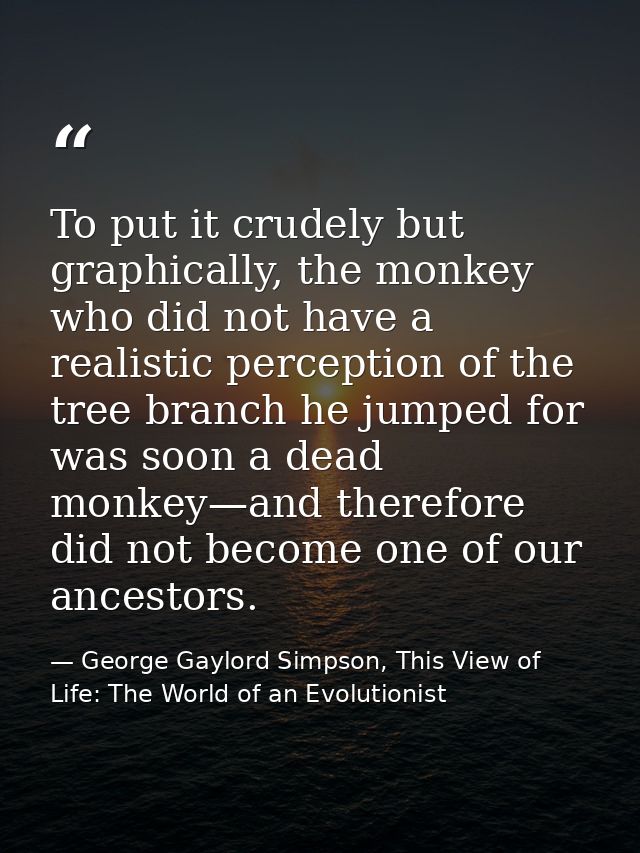 To put it crudely but graphically, the monkey who did not have a realistic perception of the tree branch he jumped for w — George Gaylord Simpson, This View of Life: The World of an Evolutionist