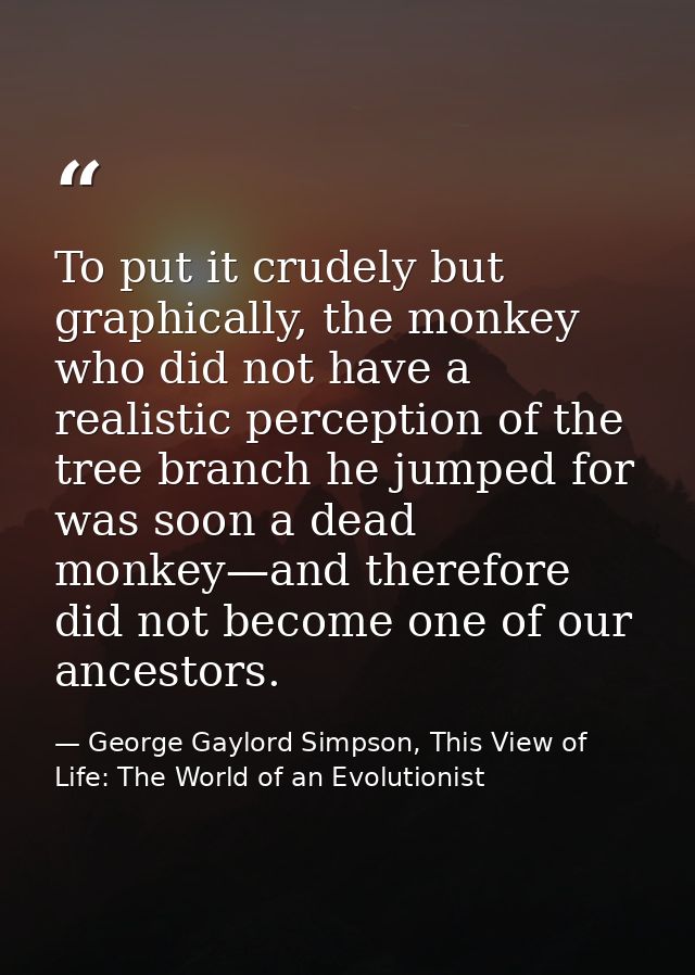 To put it crudely but graphically, the monkey who did not have a realistic perception of the tree branch he jumped for w — George Gaylord Simpson, This View of Life: The World of an Evolutionist