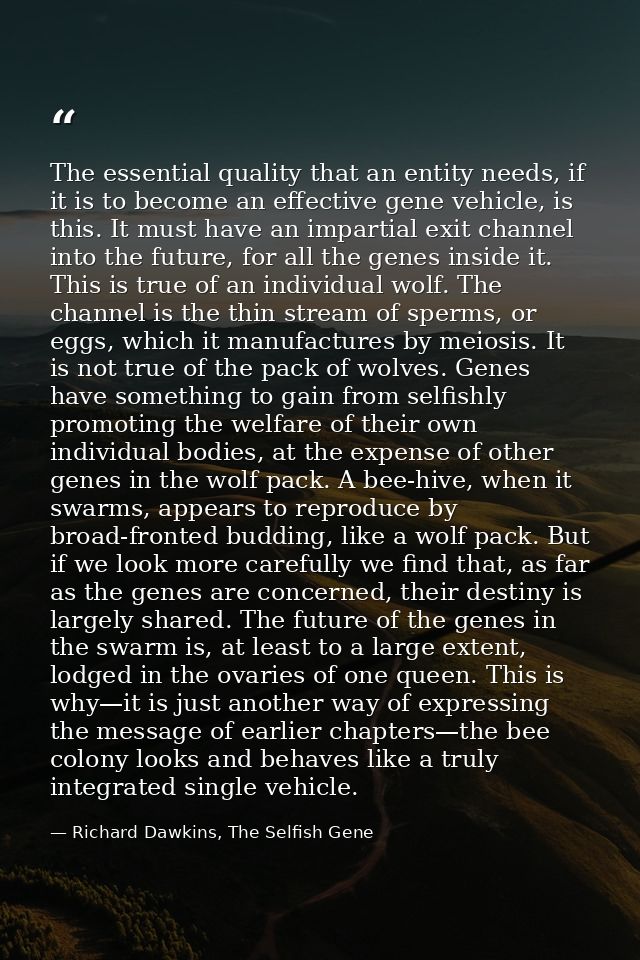 The essential quality that an entity needs, if it is to become an effective gene vehicle, is this. It must have an impar — Richard Dawkins, The Selfish Gene