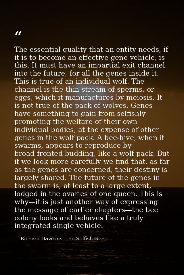 The essential quality that an entity needs, if it is to become an effective gene vehicle, is this. It must have an impar — Richard Dawkins, The Selfish Gene